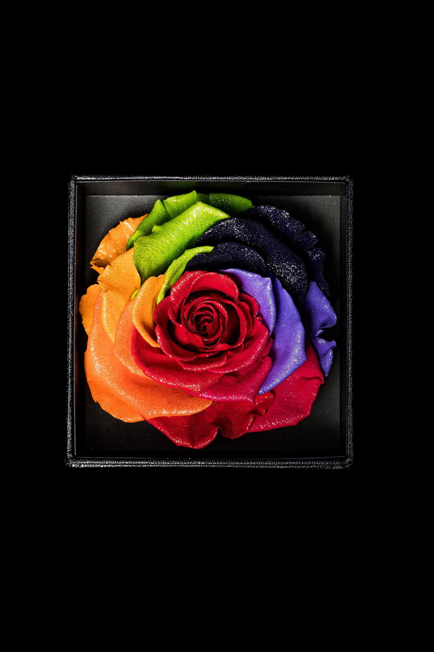 Royce - Rainbow