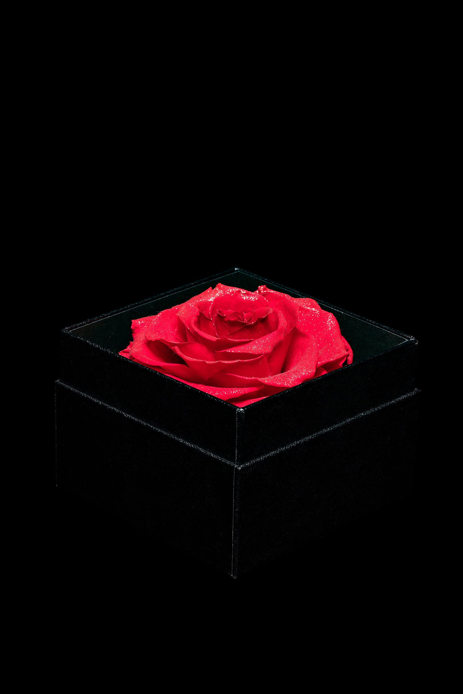 Royce - 玫瑰紅