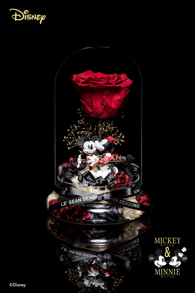 Disney Special Edition - Mickey & Minnie