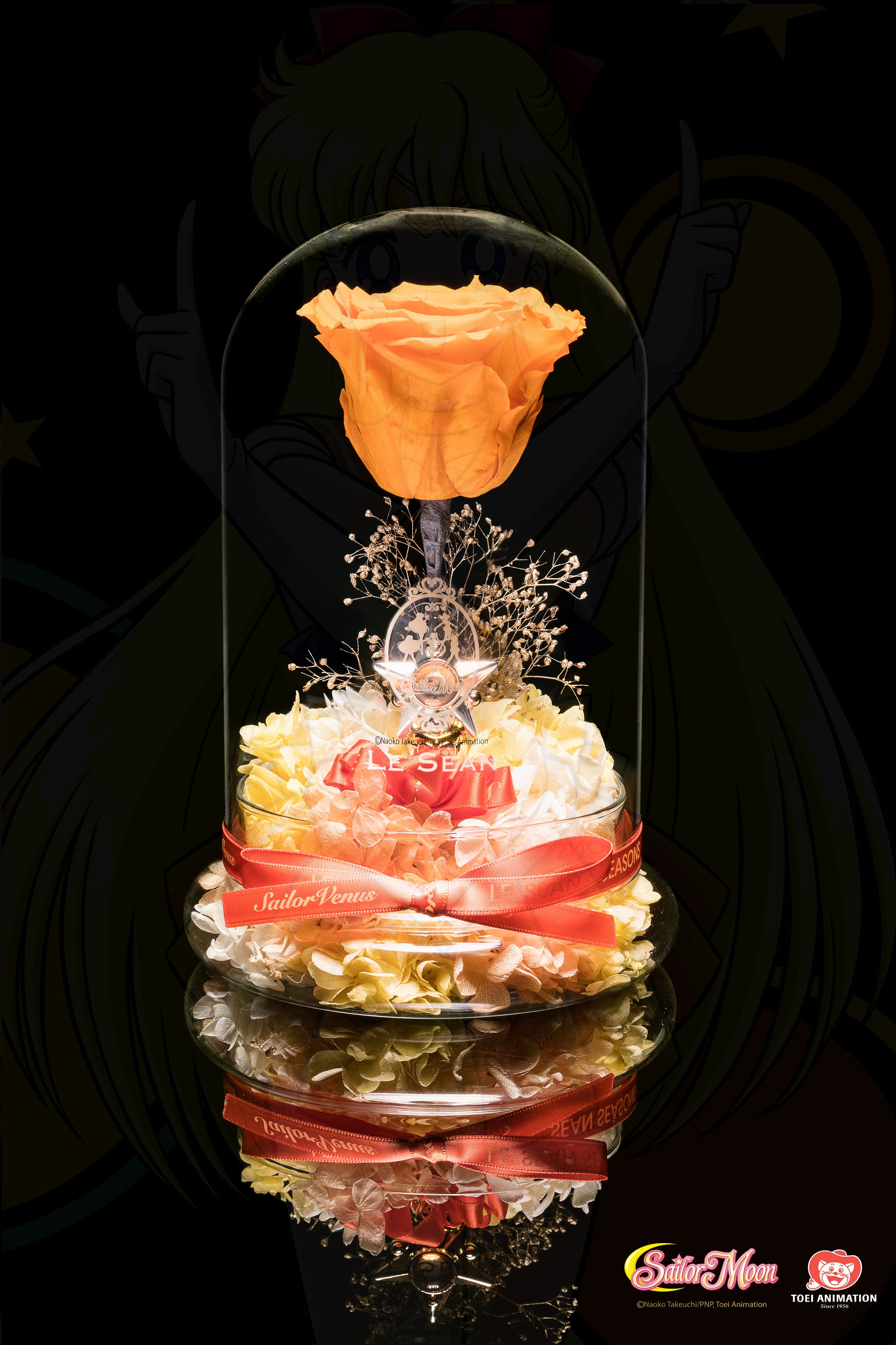 Sailor Moon Special Edition - Venus