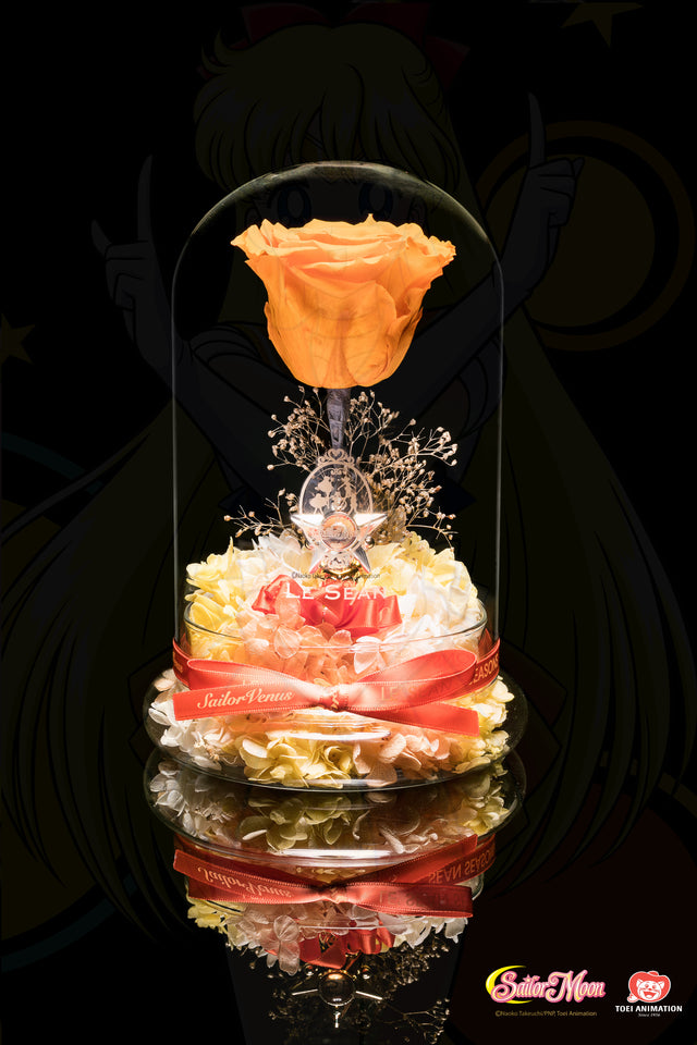 Sailor Moon Special Edition - Venus