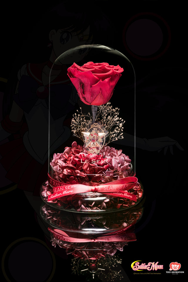 Sailor Moon Special Edition - Mars