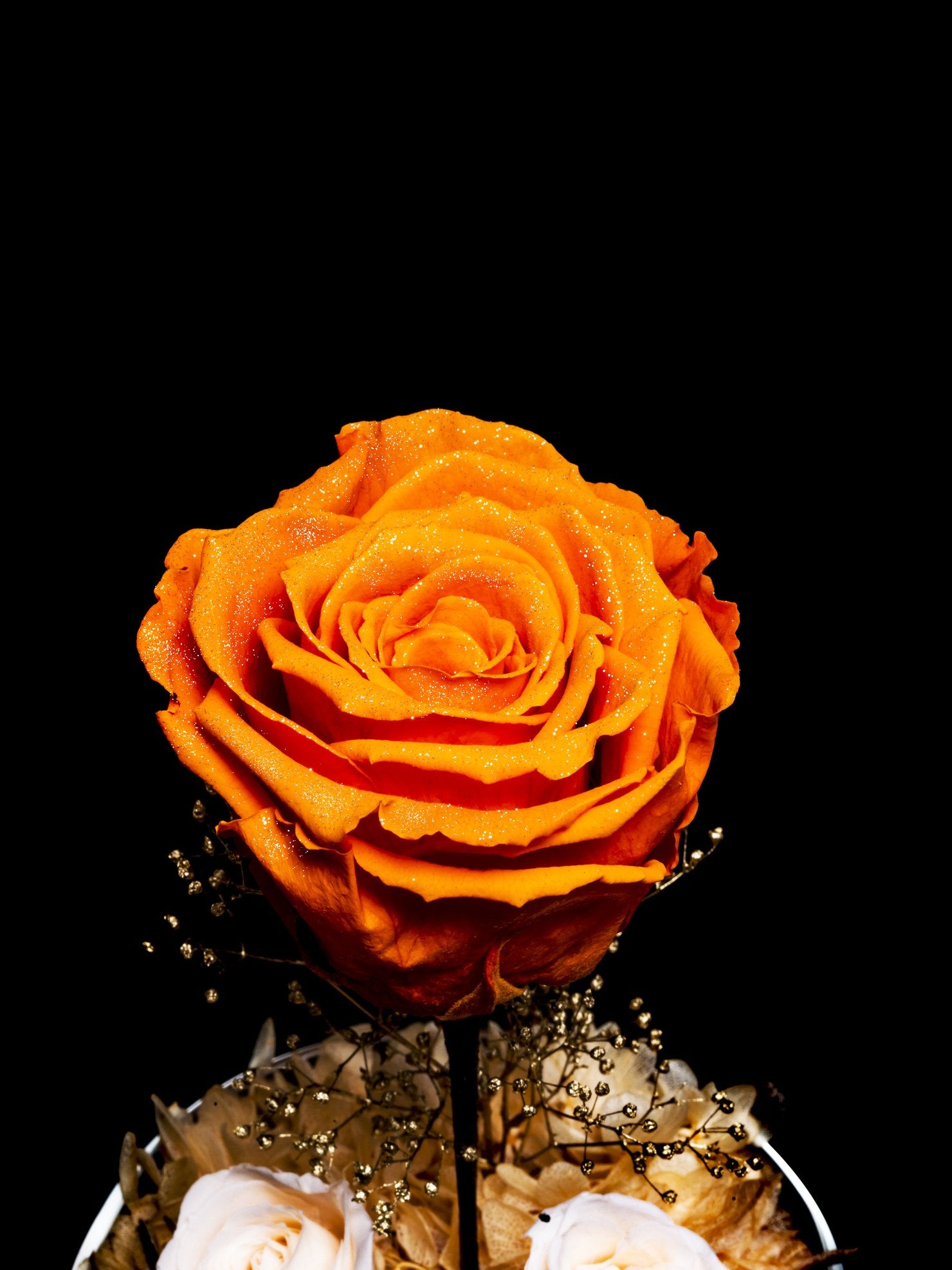 The Little Prince -  Tangerine Orange Diamond Rose Edition