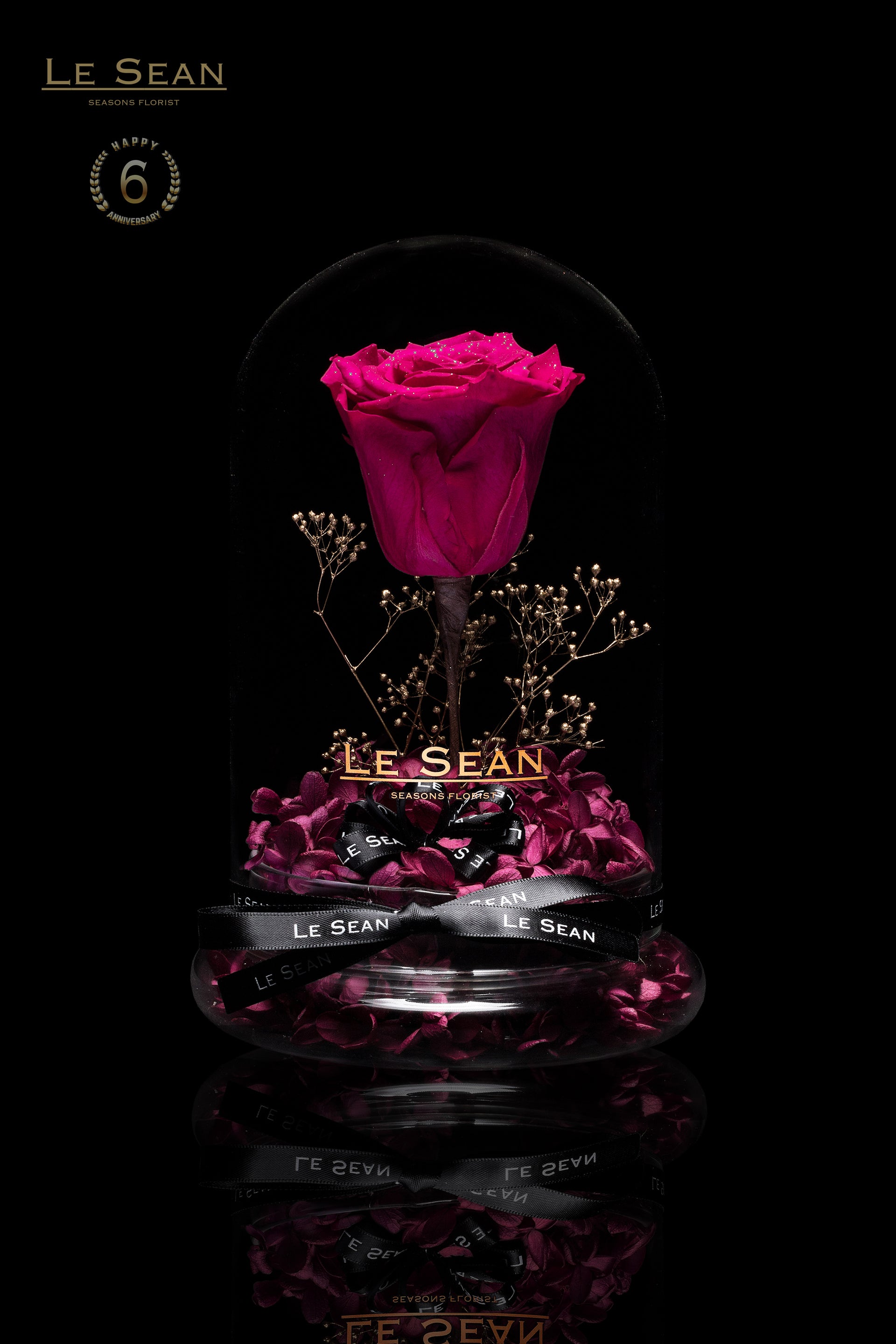 The Little Prince - Red Plum Diamond Rose Edition