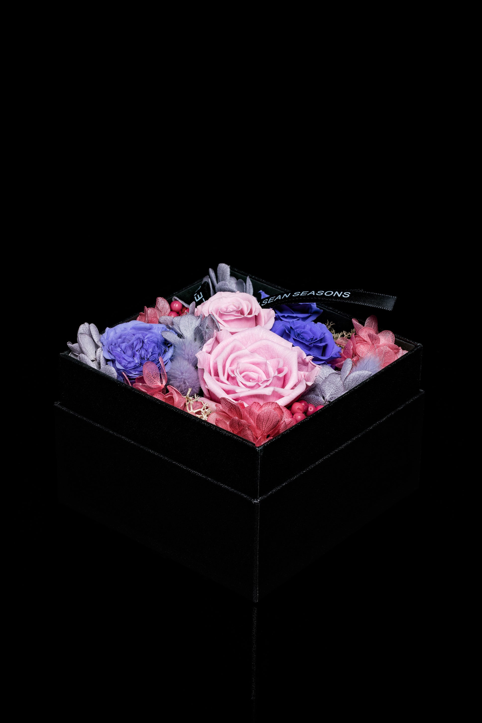 Wonderland - 櫻花粉/紫羅蘭