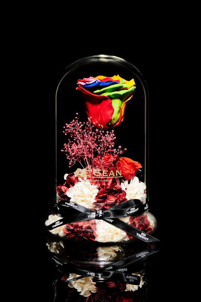 LE SEAN x TISSOT Exquisite Rainbow Rose Limited Edition Box Set